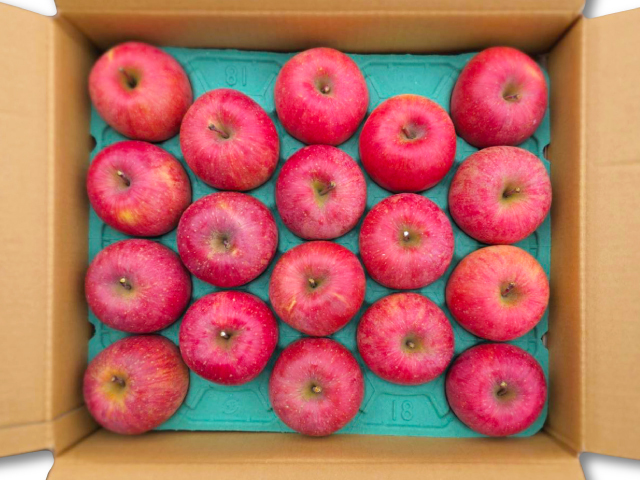 中山農園 サンふじ