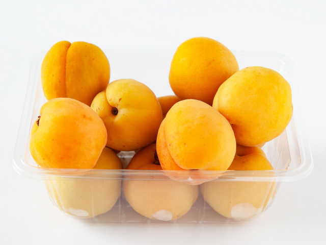長野県産あんず 新潟大実2kg