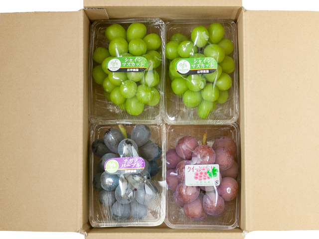 荻原農園 3種クイーンニーナ