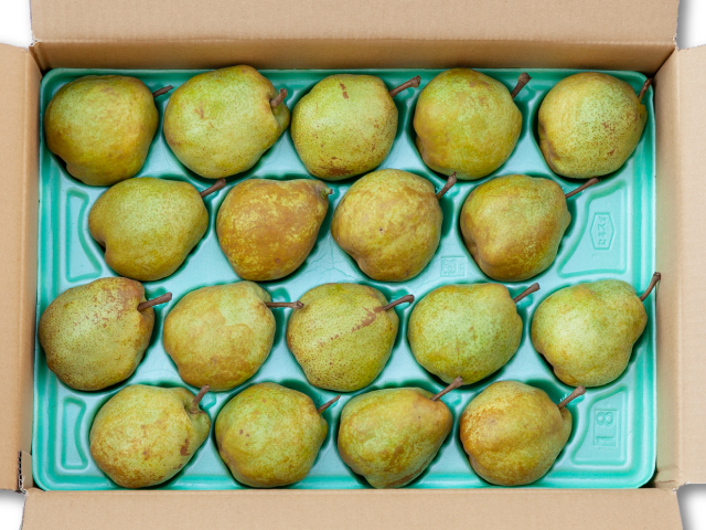 荻原農園 ラ・フランス