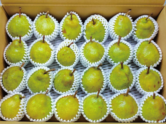 荻原農園ラフランス小玉