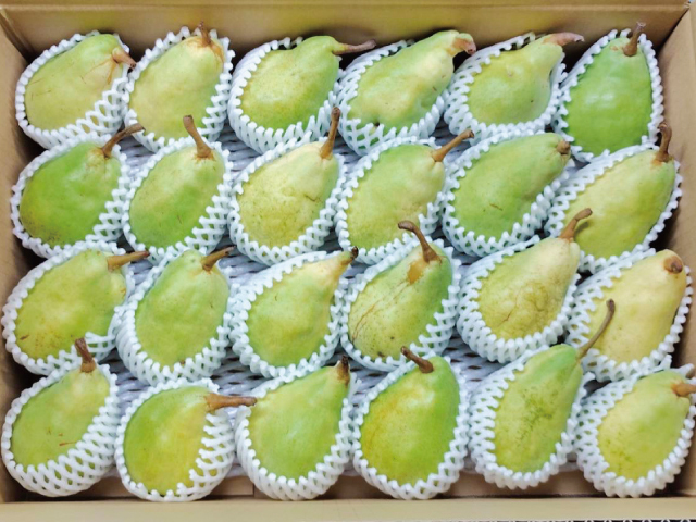荻原農園ルレクチェ小玉