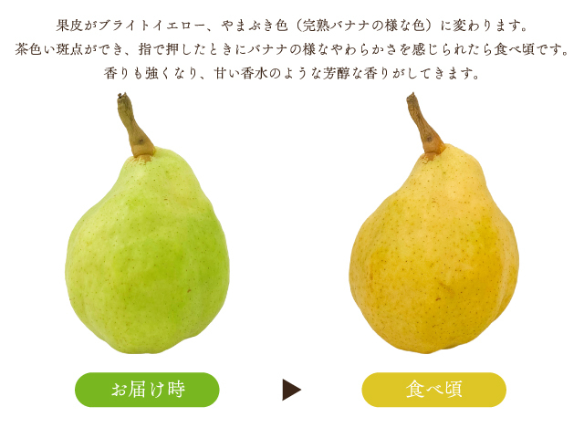 荻原農園　ルレクチェ