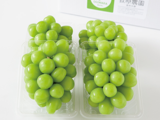 荻原農園のシャインマスカット1房400g×4
