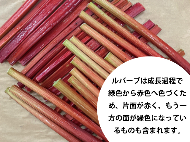 赤いルバーブ 信州産 長野県富士見町産 赤いルバーブ 2kg【生】