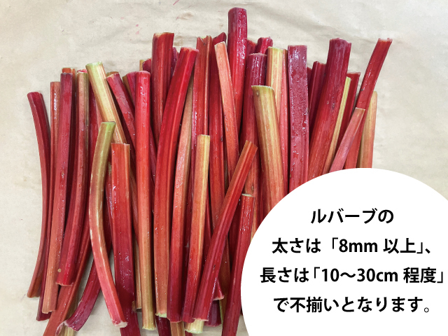赤いルバーブ 信州産 長野県富士見町産 赤いルバーブ 2kg【生】