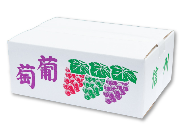 流園　種無し巨峰