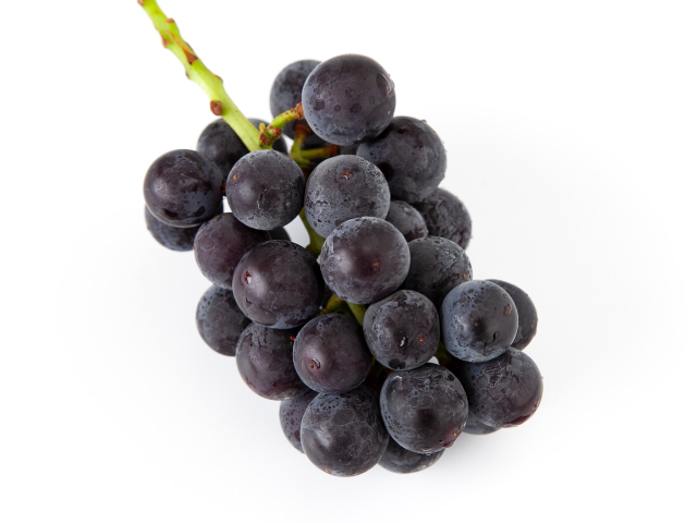 流園　種無し巨峰 訳あり