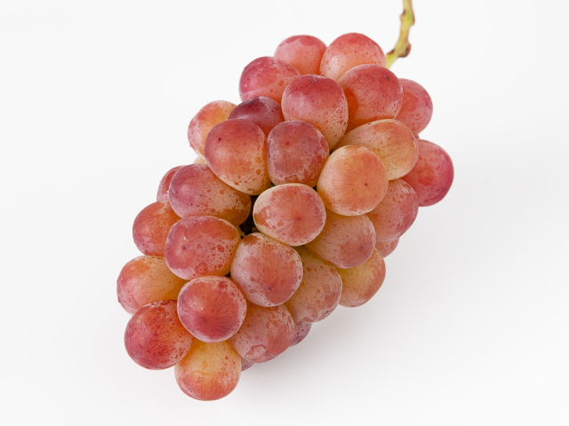 流園　スカーレット訳あり