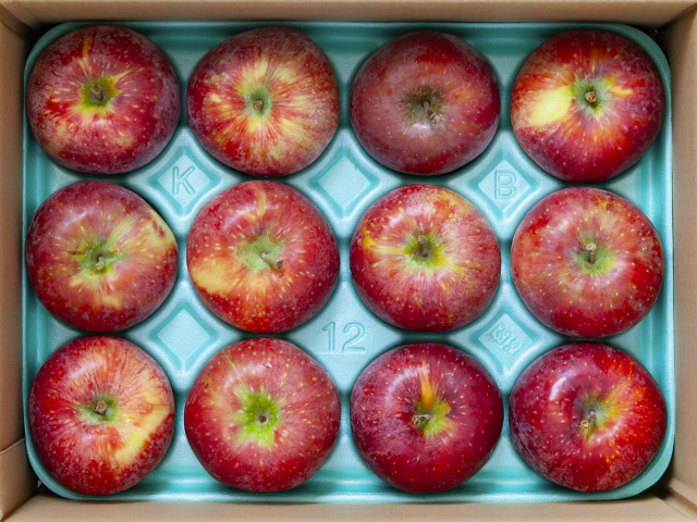 全農 シナノリップ