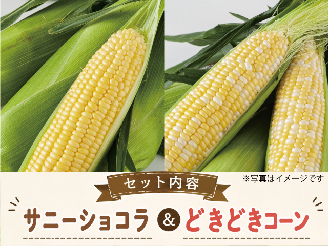 信濃町とうもろこし サニーショコラ＆どきどきコーン