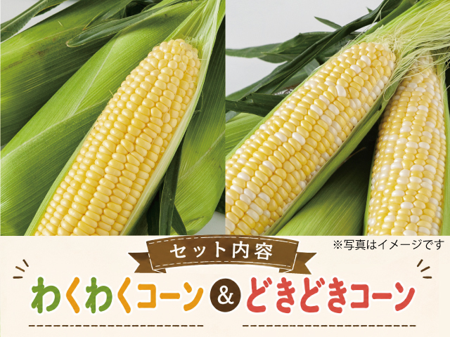 信濃町とうもろこし わくわくコーン＆どきどきコーン