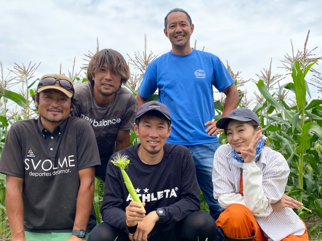 専用のため購入はお控えください。 サンキスドファーム”太陽のくちづけ white” 10本