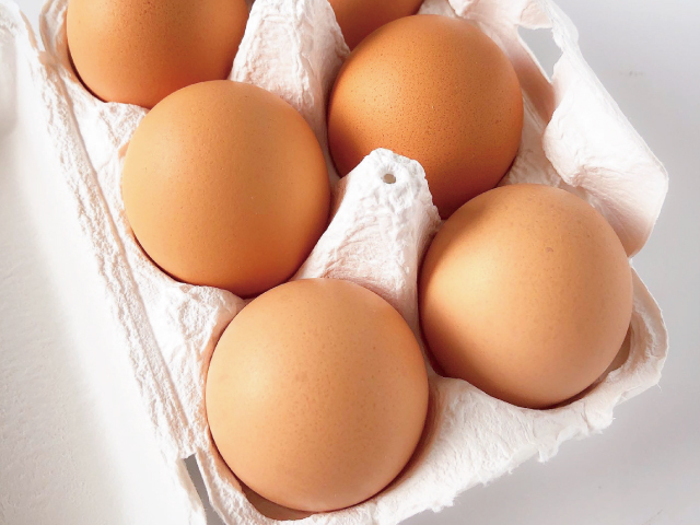 サスティナブルエッグ