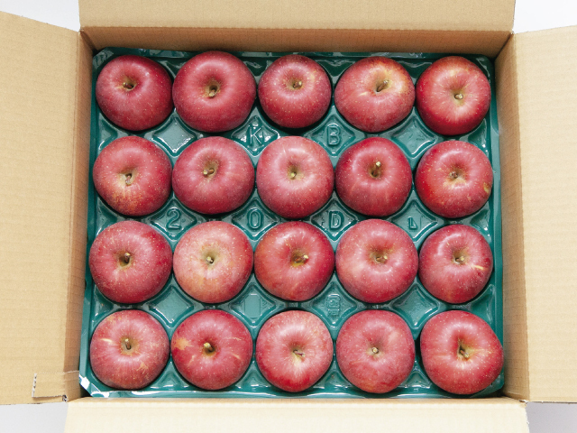 長野県高山村指定農園 サンふじ 小玉20玉(風袋込約4.5kg)