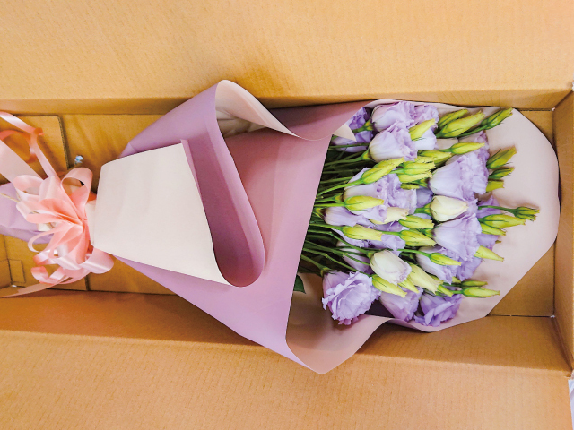 JA上伊那 トルコギキョウ