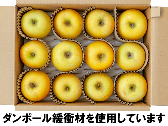 長野県高山村 土恵農園 シナノゴールド 約3kg【訳あり】