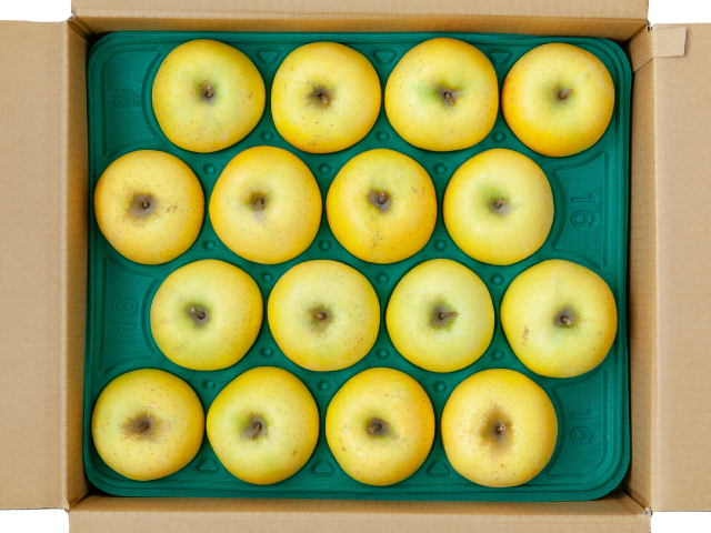 土恵 シナノゴールド5kg 訳あり