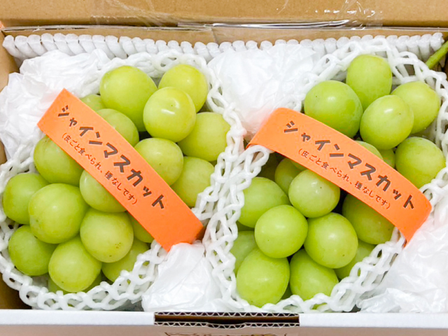 やっさん農場　シャイン
