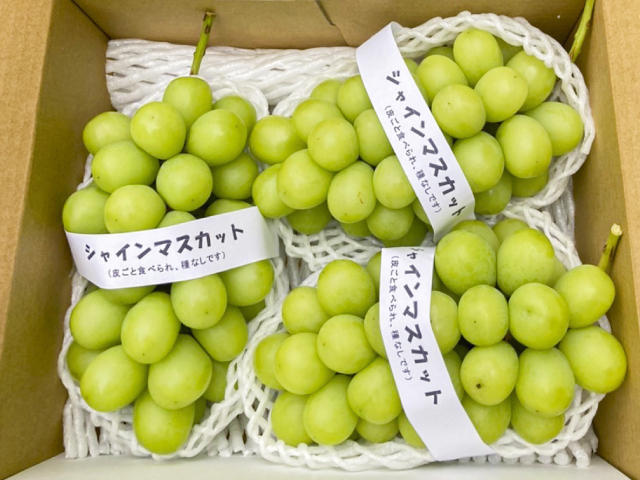 やっさん農場