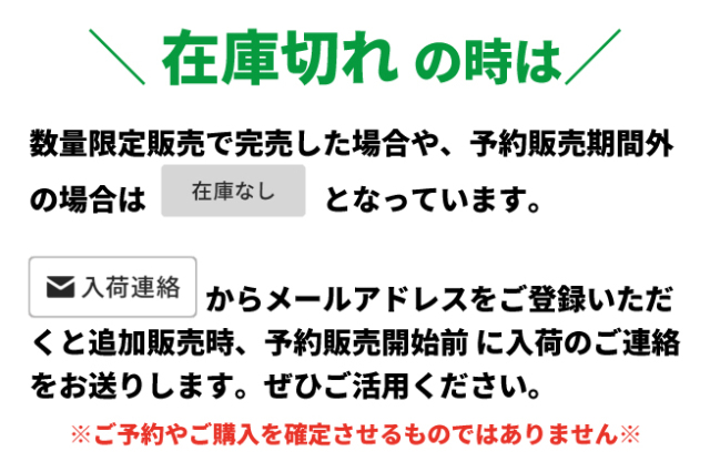 長野県産あんず 信州大実2kg