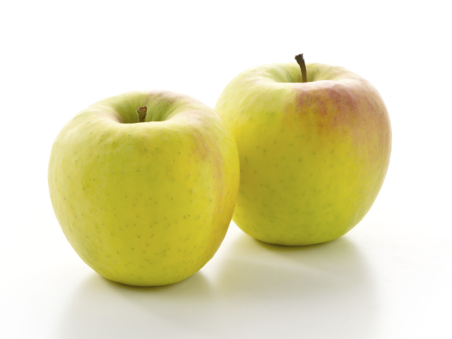 全農 ぐんま名月