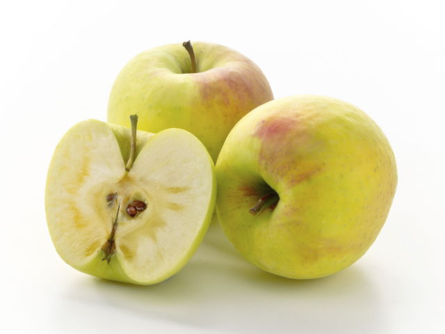 全農 ぐんま名月