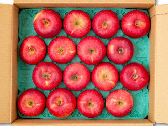 全農シナノホッペ5㎏