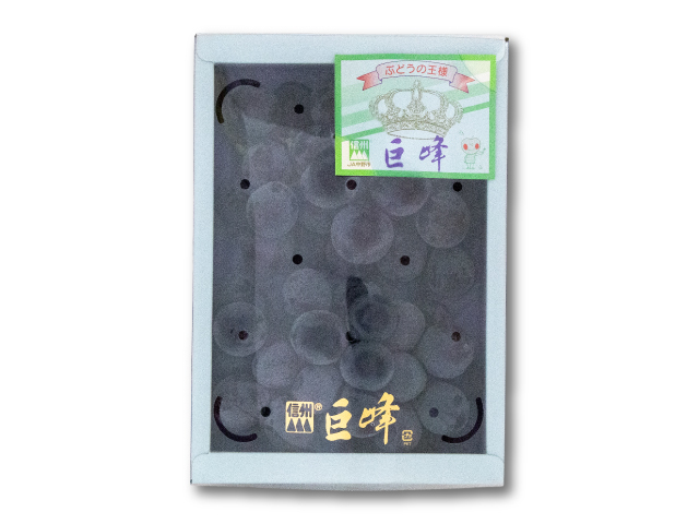全農 巨峰