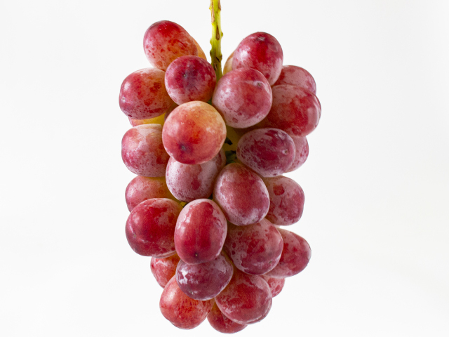 全農　クイーンルージュ