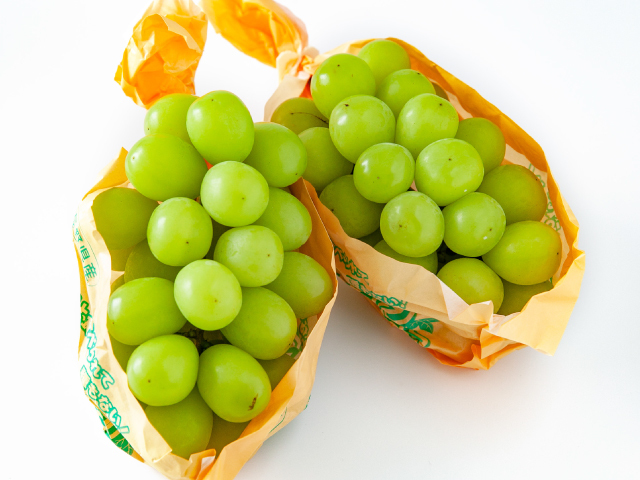 全農 シャインマスカット2房