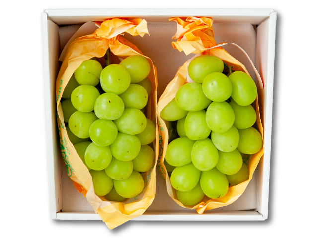 全農 シャインマスカット2房
