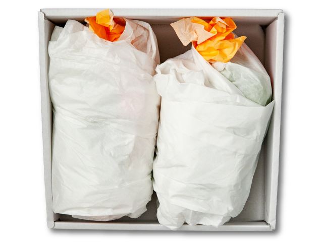 全農 シャインマスカット2房