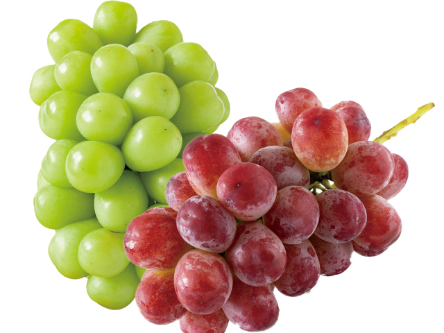 全農　シャイン＆ルージュ