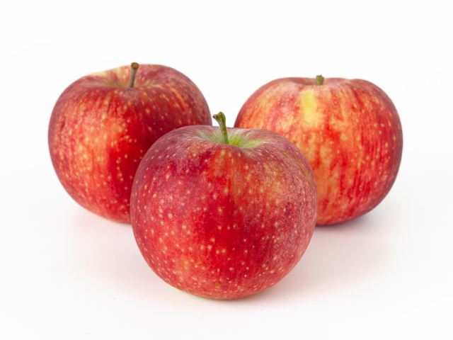 JA上伊那 シナノリップ