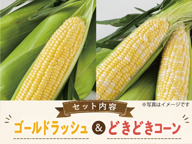 信濃町とうもろこし ゴールドラッシュ＆どきどきコーン