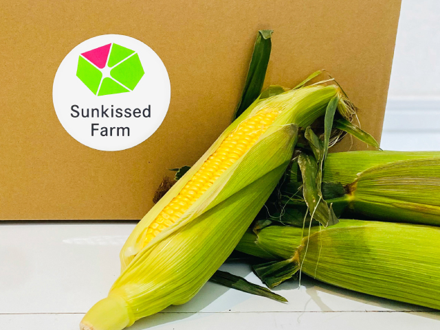 サンキスドファーム”太陽のくちづけ”贈答10本