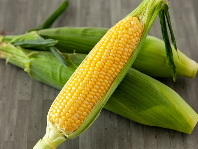 サンキスドファーム”太陽のくちづけ” 10本