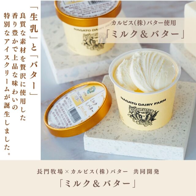 CA-2】長門牧場アイスクリーム ミルク＆バターセット（120ml×12個）