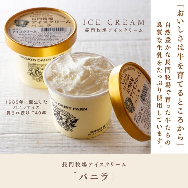 CA-1】長門牧場アイスクリーム ミルク＆バターセット（120ml×10個）