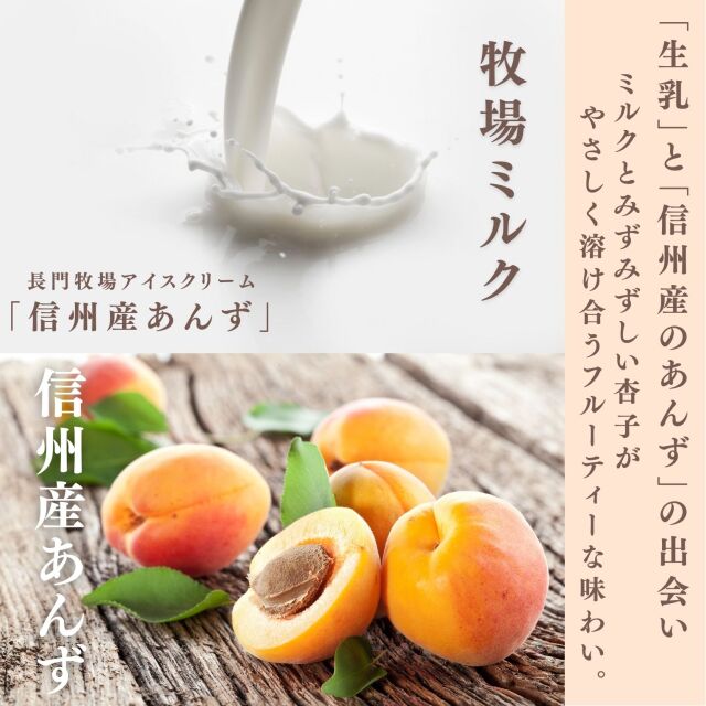 極美品！最安値！NEWTRY ストロングアイスクリーマー 110V MIクリエーションズ株式会社｜アイスストロング