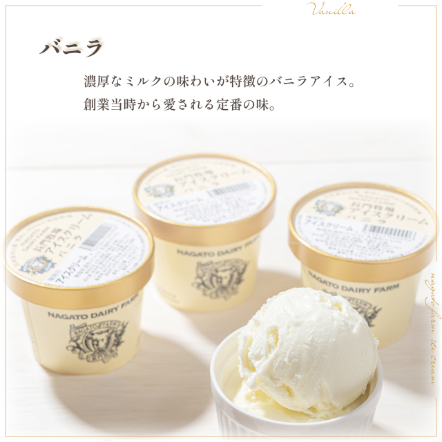 CA-1】長門牧場アイスクリーム ミルク＆バターセット（120ml×10個）