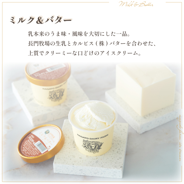 アイボリーコースト産 カタモンオオツノハナムグリ 93mm 県央）五城目