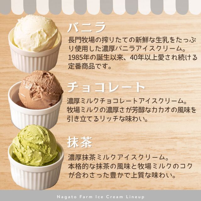 A-2】長門牧場アイスクリームセット（120ml×12個）