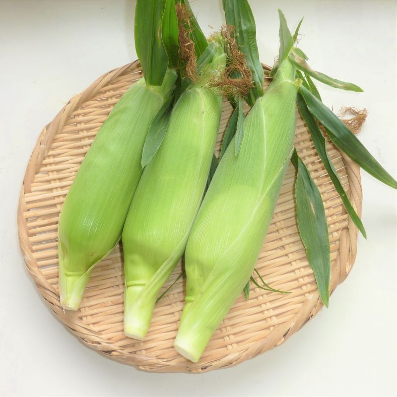 とうもろこし