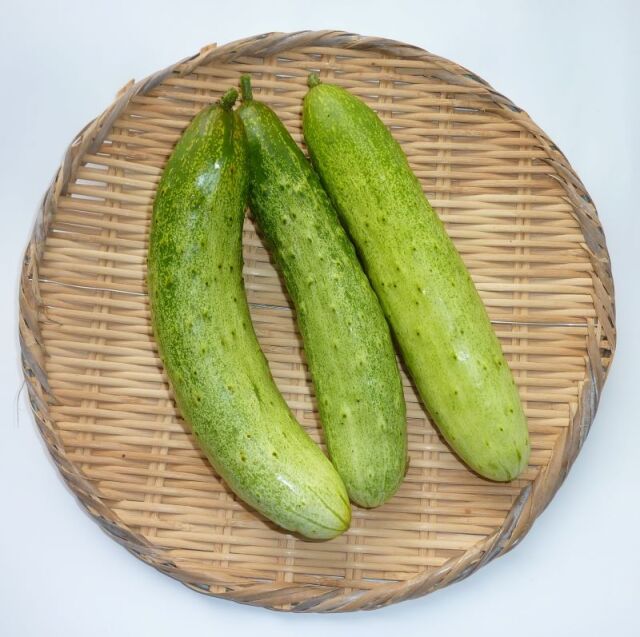 ながわきゅうり