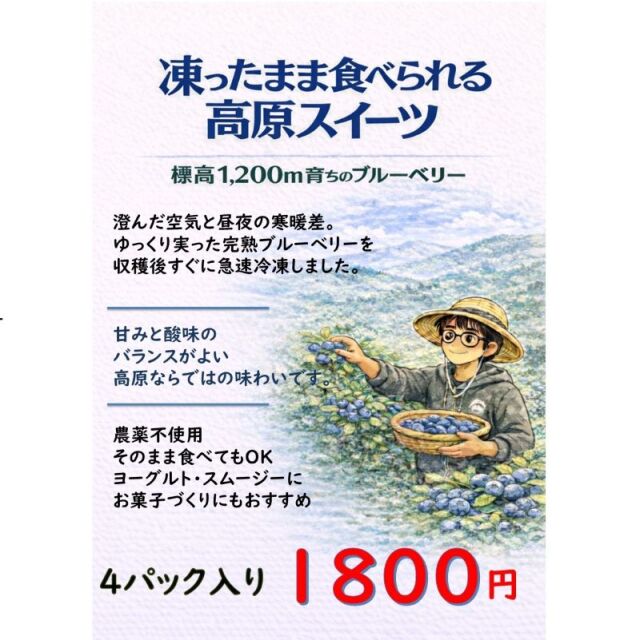 冷凍ブルーベリー