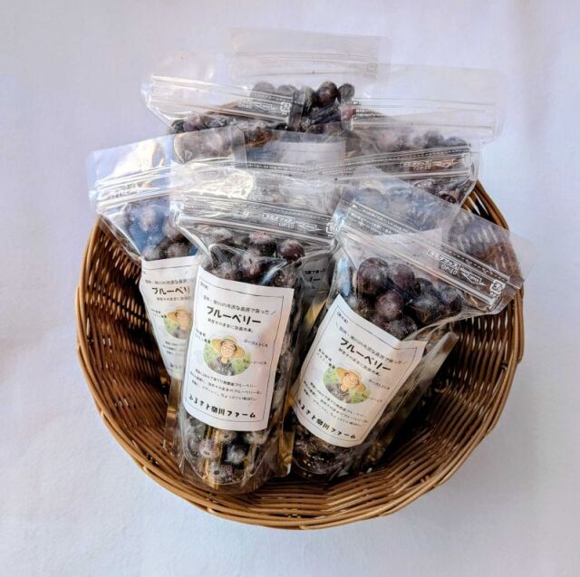 冷凍ブルーベリー