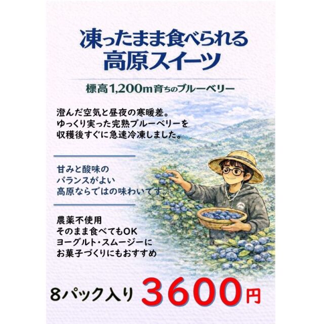 冷凍ブルーベリー