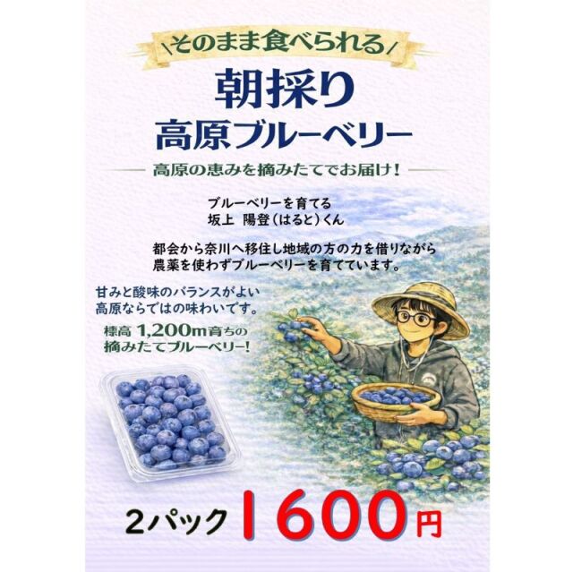 ブルーベリー